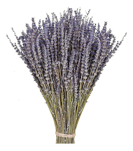 Flores Decorativas De Lavanda Secas, 50 Unidades