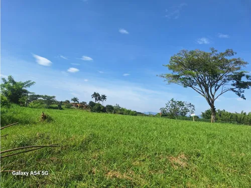Venta Lotes En Quimbaya -quindío Colombia Cod: 7555717