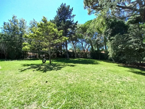 Imagen 4 de 6 de Lote Terreno Venta Pinamar Zona Iglesia Foca 705 M2