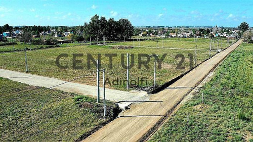 Imagen 6 de 6 de Lotes En Venta En Sicardi (13 Bis Y 660)