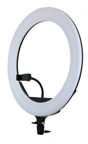 Ring Light Profissional 18 Polegadas Easy C Bolsa E Tripé Cor da estrutura Preto Cor da luz Branco-frio 110V/220V