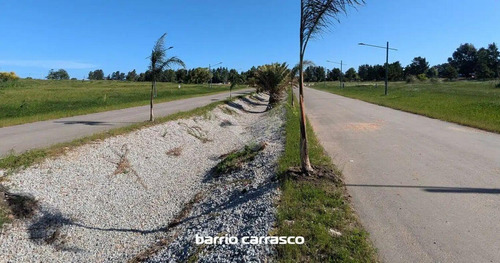 Terreno En Barrio Ombues. Carrasco Norte.