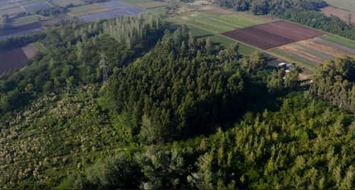 Campo En Venta 9 Hectareas