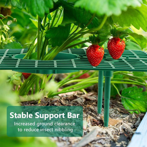 Soporte Para Plantas De Fresa (1 Unidad)