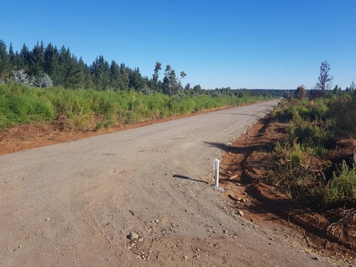 Parcelas En Loteo Hacienda San Ignacio - 25 Min De Chillan