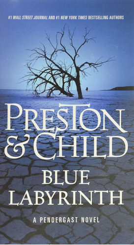 Book: Blue Labyrinth (pendergast, 14) - Preston & Child