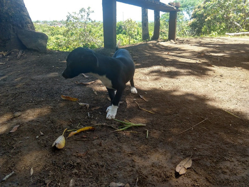 Imagem 15 de 15 de Fazenda, Para Venda Em Ilhéus/ba - Fa01