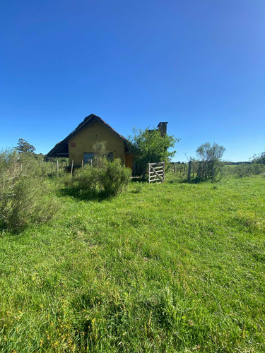 Venta De 9 Hectáreas En Empalme Olmos.!
