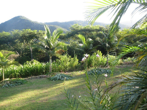 Imagem 14 de 15 de Terreno - Ingleses Do Rio Vermelho - Ref: 10750 - V-10750