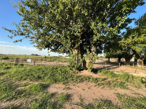 Imagen 6 de 6 de En Venta Fracción De Chacra Sobre Asfalto