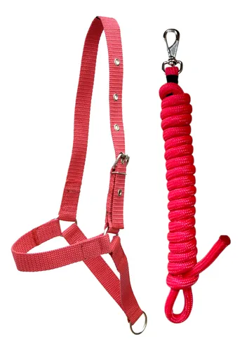 comprar Jogo De Guia Cabo Nylon Com Cabresto Buçal De Várias Cores