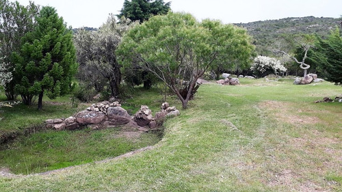Chacra En Ruta 39