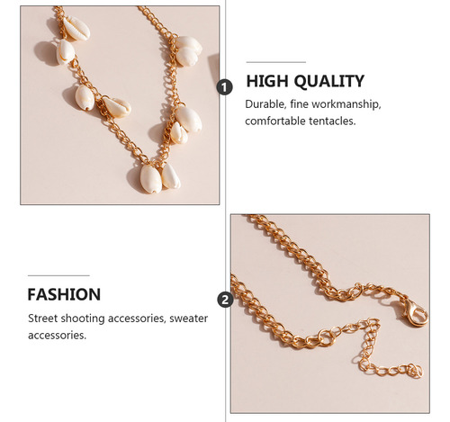 Collar Cowrie Collar Beach Shell The Summer