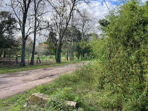 Imagen 5 de 8 de Terreno En Venta En 3216 M2 Fátima Manzanares Pilar