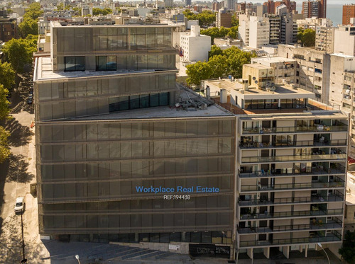 Imagen 2 de 18 de Oficina Alquiler - Metros Rambla Y Plaza Independencia Cw194438