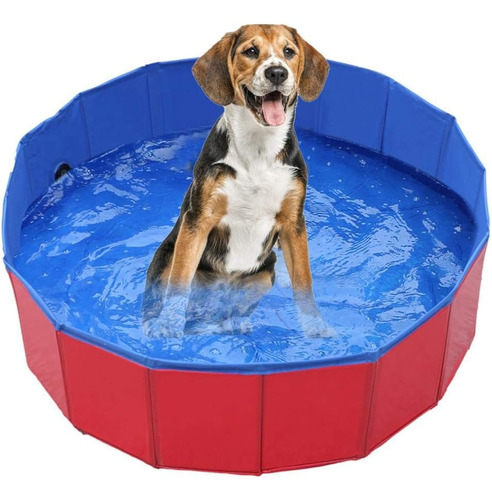Piscina Baño Plegable Para Perros Mascotas - Grande 160 Cm