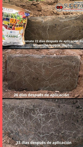 Imagen 8 de 9 de Suppra Micorrizas 2kg Inoculante Mejorador Suelos Orgánico