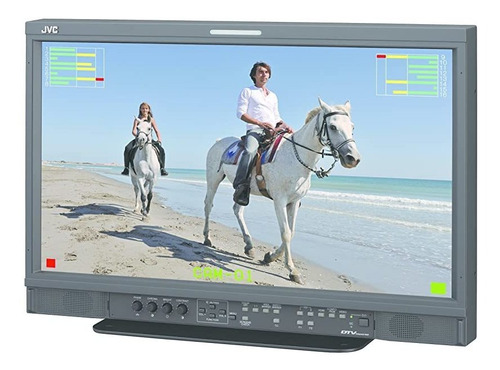 Monitor Jvc Dt-e21l4u 21-inch Multi-format Lcd Led Backlit