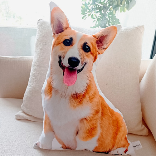 Imagen 3 de 3 de Cojín Con Forma Marca Orbelane Modelo Corgi
