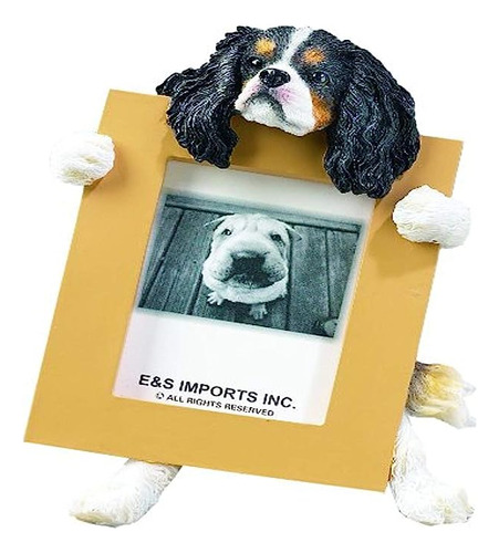 Cavalier Tri Charles Spaniel 2 5 X 3 5 Picture Frame