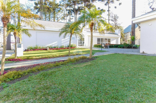 Imagem 10 de 23 de Terreno - Residencial - 926224