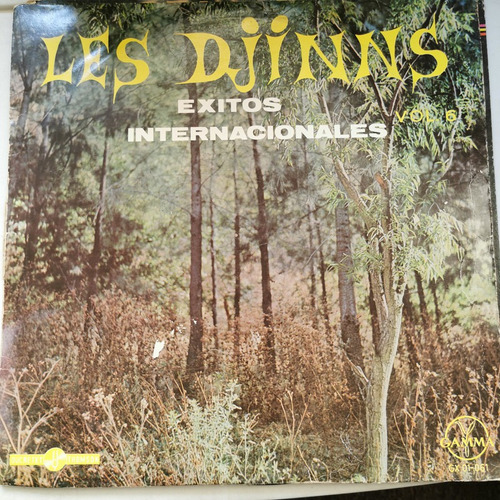 Disco Lp:les Djinns- Exitos Internacionales 6