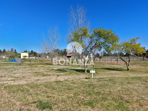 Imagen 5 de 9 de Tierra Calma. Piriápolis. Terrenos En Venta Financiados.