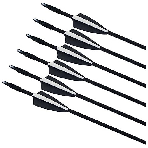 Flechas Principiantes De Arquería (flechas De Fibra De...