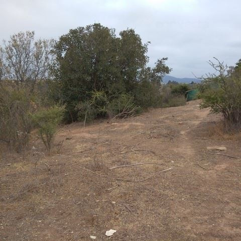Imagen 2 de 15 de Sitio Venta Quilpué Colinas De Oro, Troncal Sur, Los Pinos