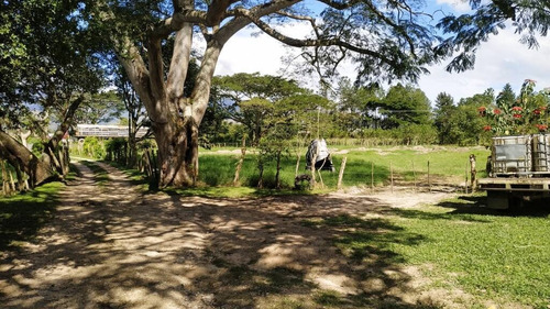Imagen 7 de 14 de 165595 Katherine Castillo 0412-8567234 Venta Finca Carretera Aguirre