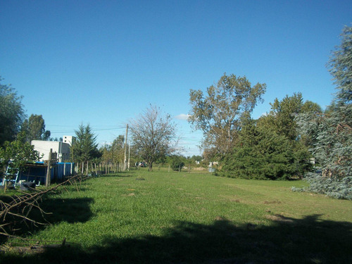 Imagen 11 de 13 de Lote En San Miguel Del Monte