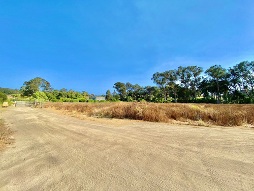 Interesante Terreno En Cachagua