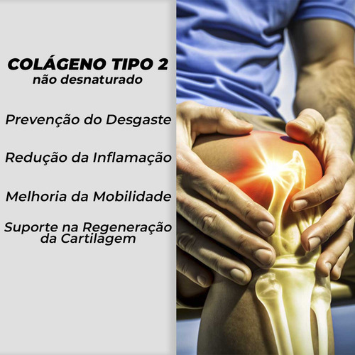 Condro Artic Msm Curcuma Colágeno Tipo 2 Ácido Hialurônico