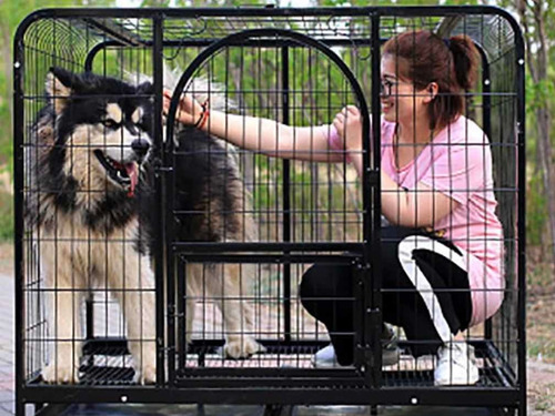 Canil O Jaula Para Perros Con Ruedas Xl Y L
