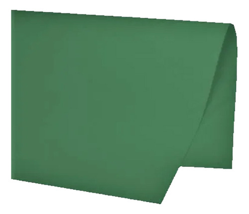 Colorset Dupla Face 48x66cm 120g 1 Pacote Com 10 Unidades Cor Verde-escuro