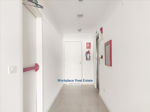 Imagen 17 de 22 de Edificio De Oficinas Exclusivo - P. Rodó - Venta Con Renta