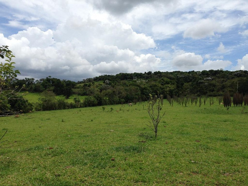Imagem 6 de 6 de Área À Venda Em Rio Abaixo - Ar246624