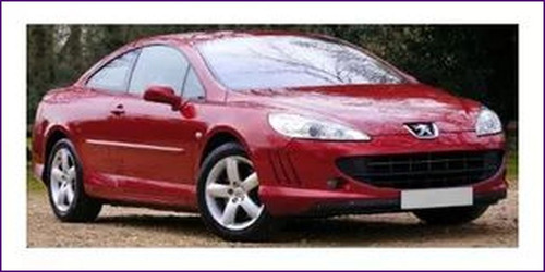 Manual Taller Peugeot 407 2004 2005 2006 2007 2008 2009 2010