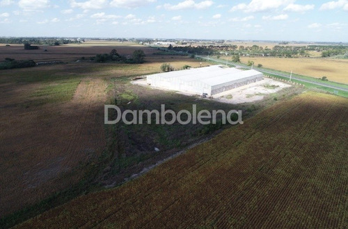 Imagen 22 de 26 de Depósito Galpón En Venta Ubicado En Alvear, Rosario