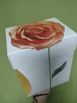 Comprar Cajas De Regalo Armables De Cartón Bellas,regalo Día  Madres