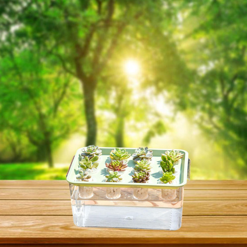 Caja De Hidropónico, Herramienta Hidropónica, 12 Verde