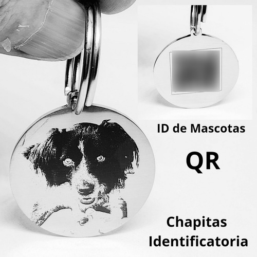 Chapita Identicatoria Perro + Foto + Qr 