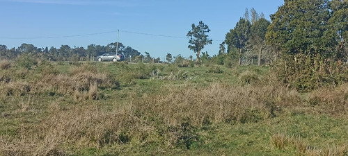   Parcela En Lliuco Isla De Chiloé A 5 Minutos De La Playa