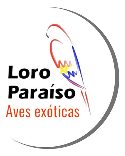 1 Kg Papilla Macao Para Loros Con Jeringa Para Empapillar .