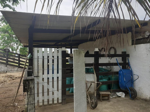 Chácara Para Venda, Zona Rural - Fz - 074_1-1741101