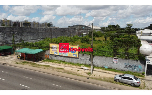 Imagem 5 de 6 de Terreno Belém - 1007648