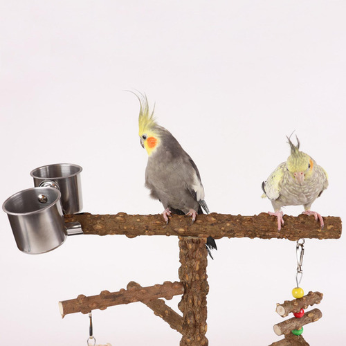 Perchas Para Pájaros, Soporte Para Juegos, Jaula Para