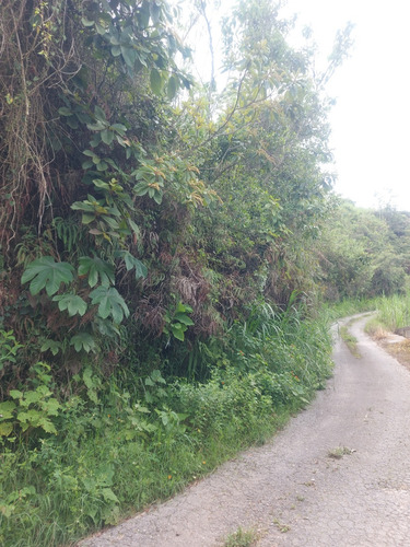 Terreno De 5.000 Mts En San Diego