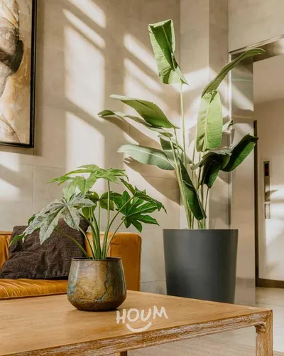Departamento Coronel Godoy Id: 147488