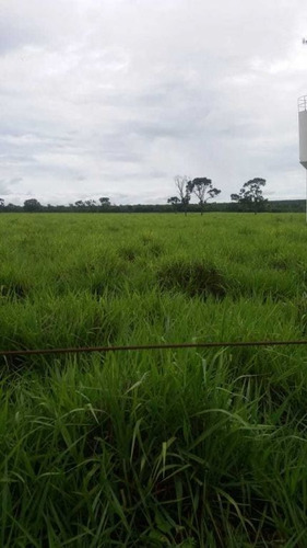 Imagem 17 de 25 de Fazenda Com 178 Hectares Rica Em Agua Em Felixlandia Mg - 36425